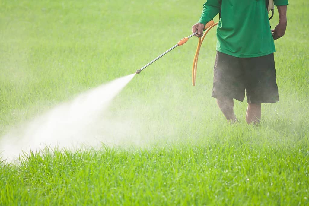 Lawn Care Services From the Roots Up
