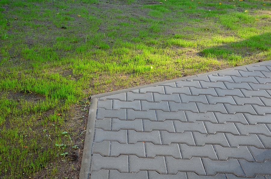 4 Common Lawn Care Treatment Mistakes