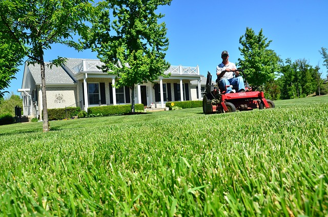 Treat Lawn Disease
