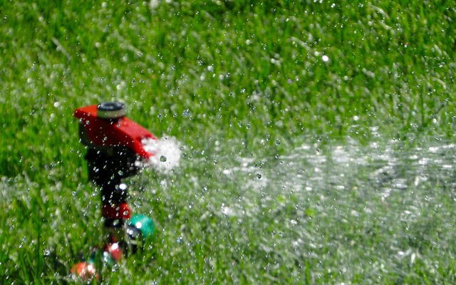 How to Water Your Lawn