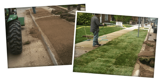 Lawn Repair and Seeding Richmond IN